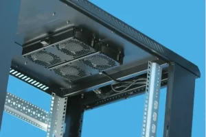 Ordinary cabinet features1